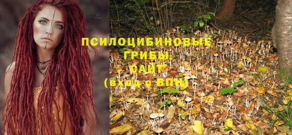 бутират Вязники