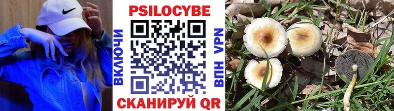 Галлюциногенные грибы мухоморы  Купить закладки  Лесосибирск 